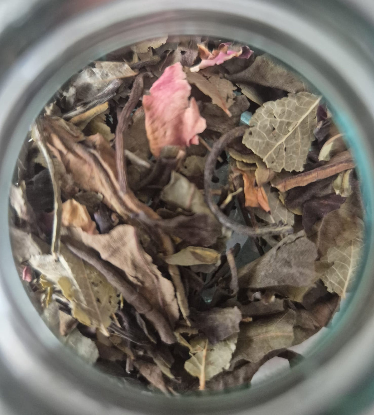 Thé blanc rose